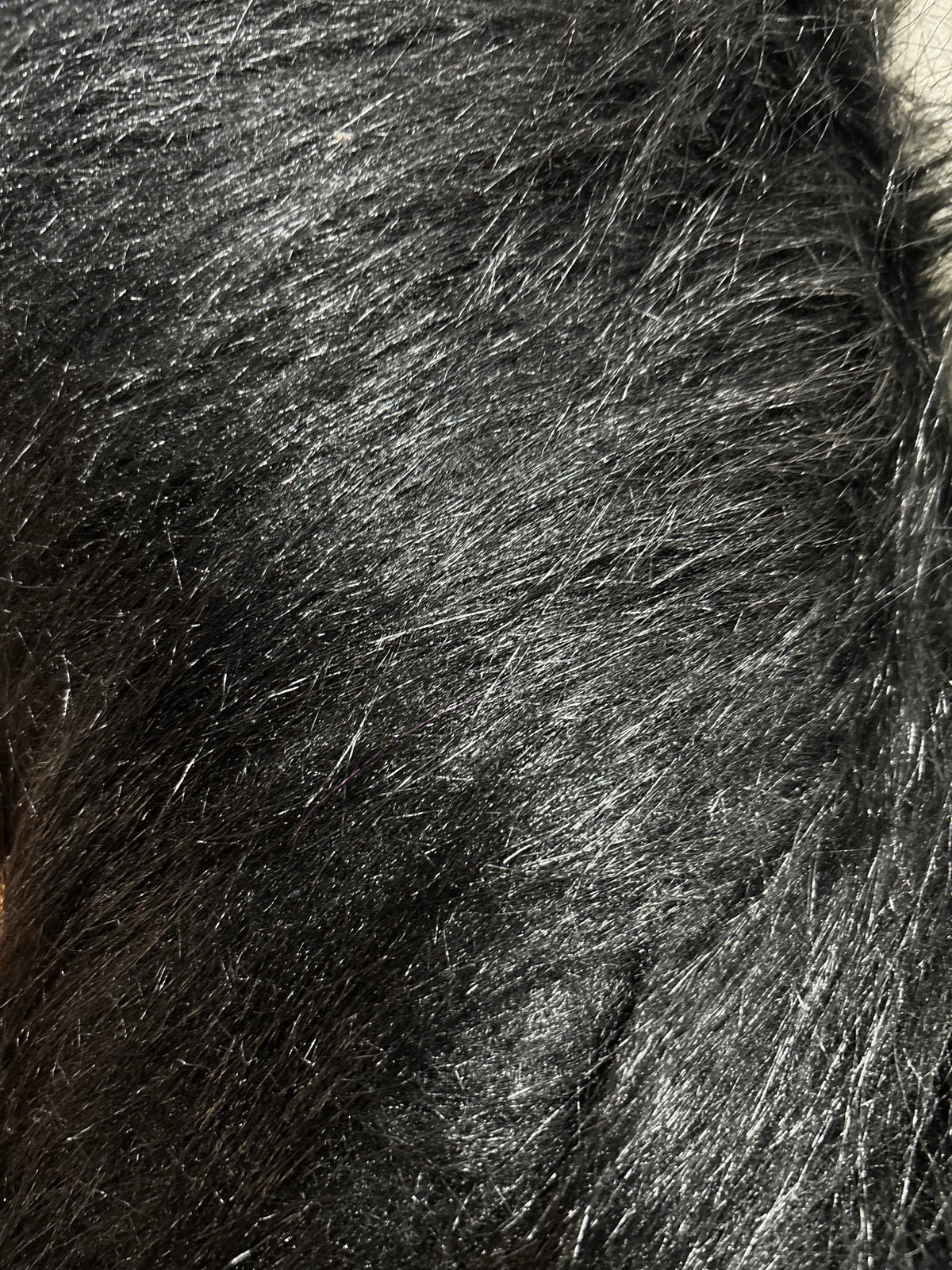 Long-Hair Faux Fur Fabric