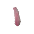 Turkey Feathers-1.75g Pack