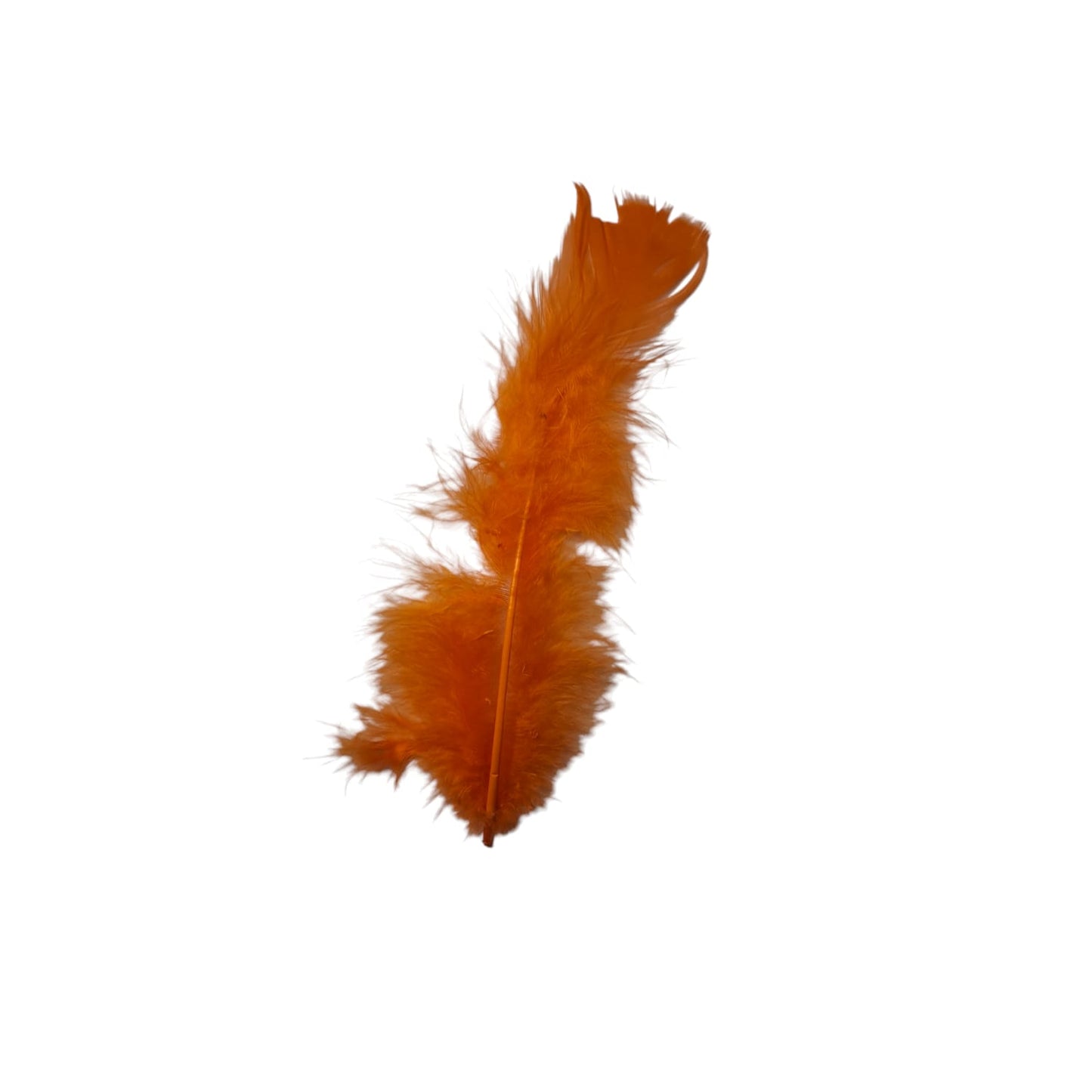Turkey Feathers-1.75g Pack